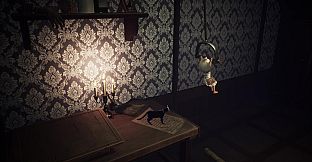 LIGHT:Black Cat & Amnesia Girl