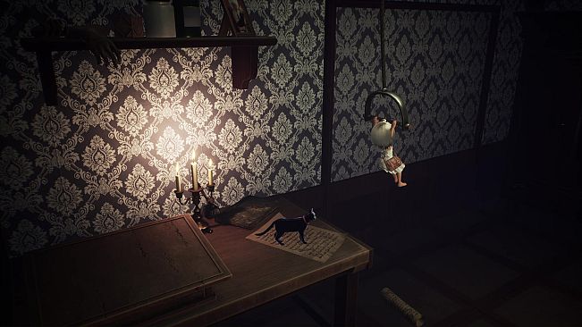 LIGHT:Black Cat & Amnesia Girl