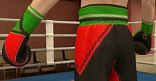 The Thrill Of The Fight 2 - Victory Gear Shorts