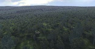 Graviteam Tactics: Dark Forest