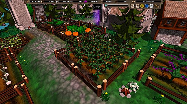 Siege of Turtle Enclave