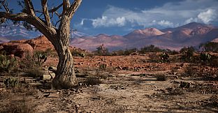 The Last Saviour: Search of Truth