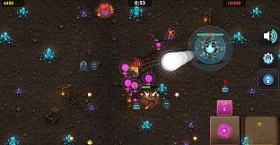Miner Survivor
