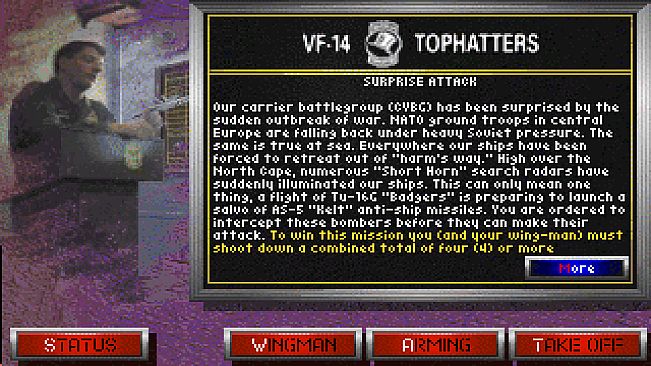 Fleet Defender: The F-14 Tomcat Simulation