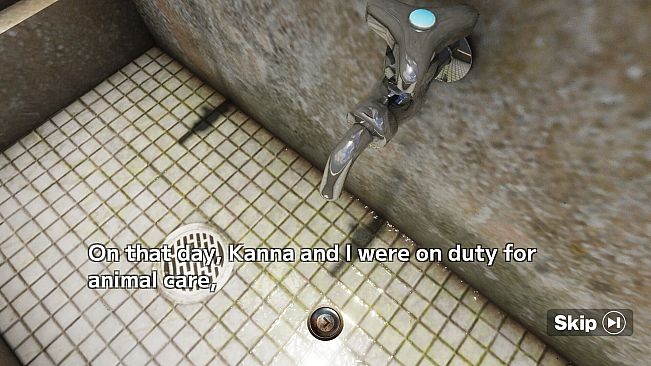 CLASS 3, THIRD GRADE