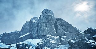 Wildlife Rescue Simulator