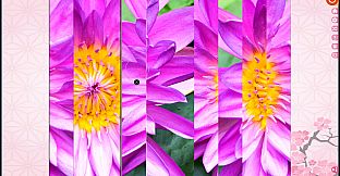 Puzzle Vacations: Japan