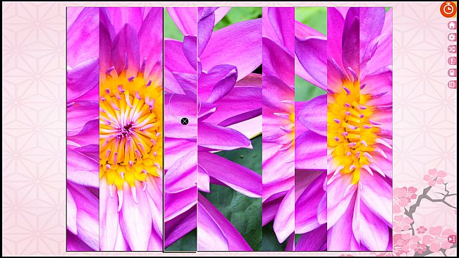 Puzzle Vacations: Japan