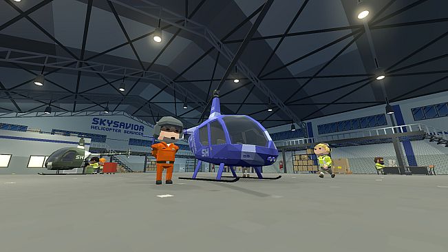 SKYSAVIOR Helicopter Services