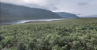 Flow - Calm for clarity