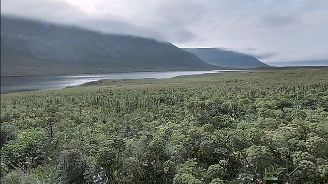 Flow - Calm for clarity