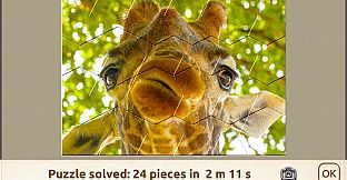 House of Jigsaw: Impressive Animals