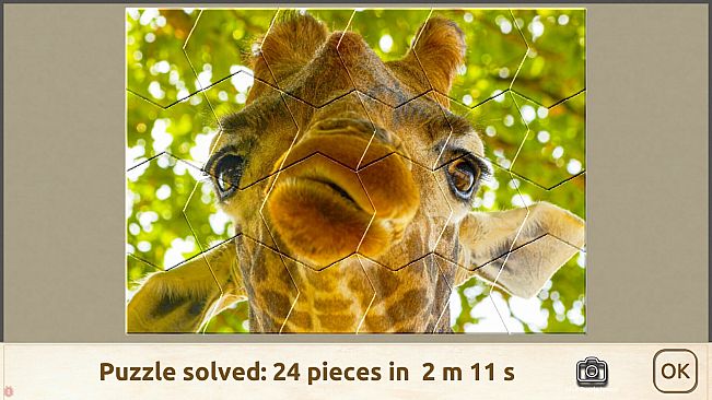 House of Jigsaw: Impressive Animals