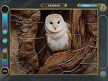 Mosaics Galore. Challenging journey