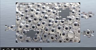 Jigsaw Puzzle World - Amphibians