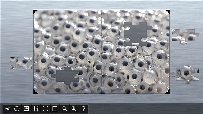 Jigsaw Puzzle World - Amphibians