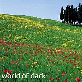world of dark