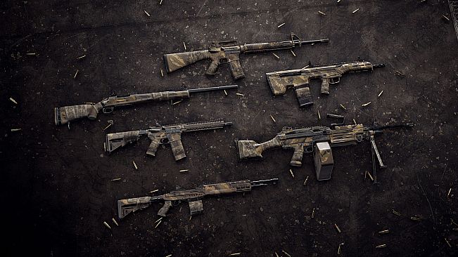 Insurgency: Sandstorm - Breachpoint Set Bundle