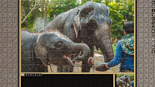 Pixel Puzzles Traditional Jigsaws Pack: Variety Pack XS