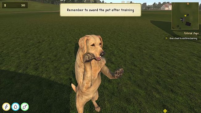 Animal Trainer Simulator: Prologue