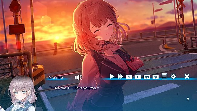 猫猫旅行社欢迎你！ Momo's Revitalization Project!