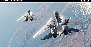 DCS: F-14A/B Tomcat by Heatblur Simulations