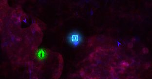 Forced Sacrifice: HEJLED Unlock All DLC