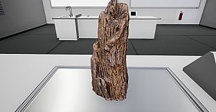 Oman Biology 12