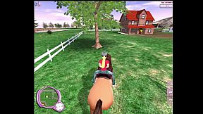 Grand horse attraction