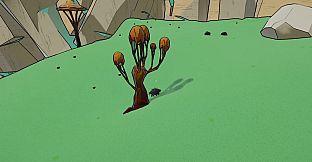 Wild Symbiosis