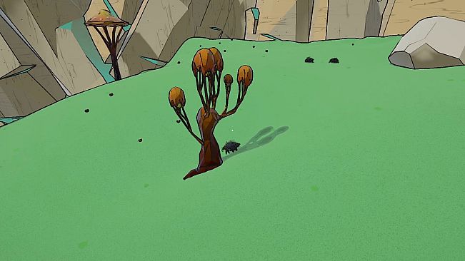 Wild Symbiosis