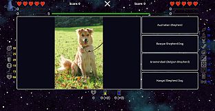 I've Seen Everything - Dogs