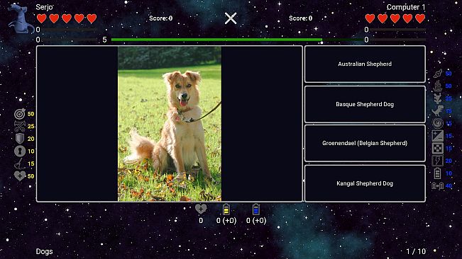 I've Seen Everything - Dogs