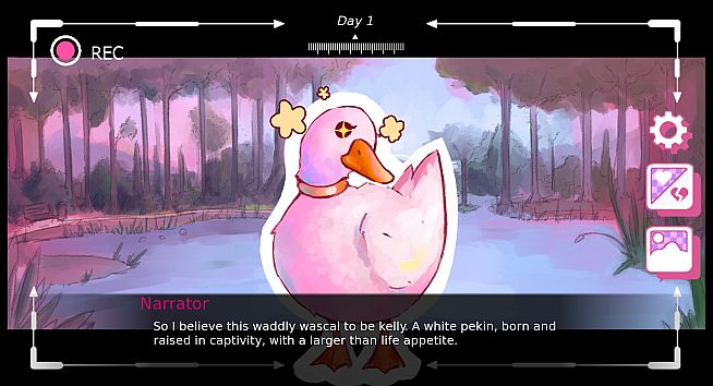 Duck Dating Sim