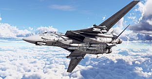 War Thunder - F-14D Bundle