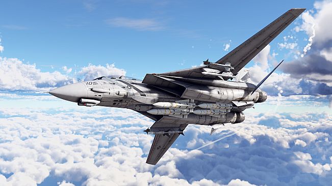 War Thunder - F-14D Bundle