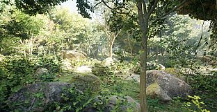 South America Gold Rush