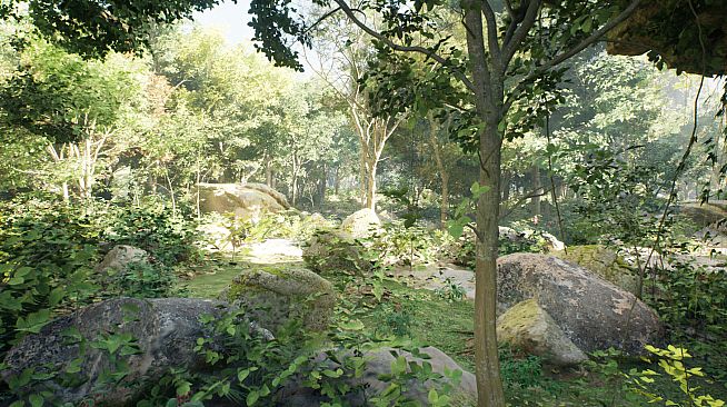 South America Gold Rush