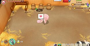 STORY OF SEASONS: Friends of Mineral Town - Sheep Costume