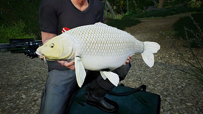 Euro Fishing: Hunters Lake