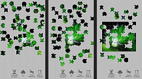 Jigsaw puzzle - Evolution