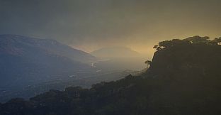 theHunter: Call of the Wild - Emerald Coast Australia