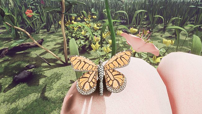 Butterfly Skins - Drunk On Nectar
