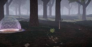 Silver Cats - Developer Files