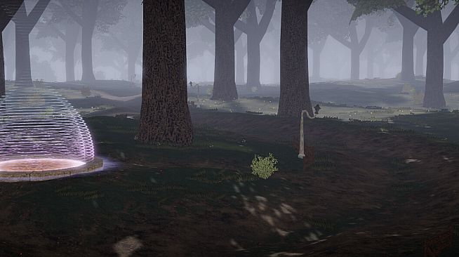 Silver Cats - Developer Files