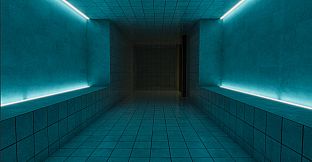 Transcendence in the Poolrooms