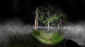 Go Outside Simulator