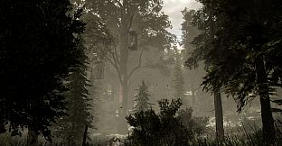 The Woods: VR Escape the Room