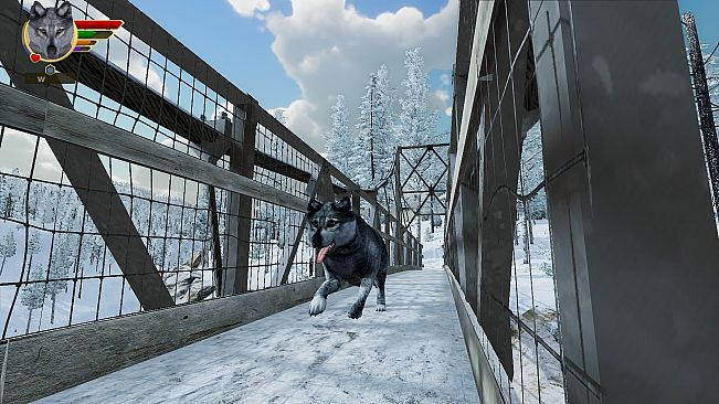 WolfQuest Anniversary - Hellroaring Mountain