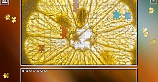 Super Jigsaw Puzzle: Generations - Random Puzzles 3